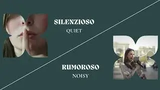 21 Common Opposite Words in Italian | Italian for Beginner