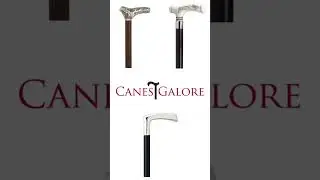 Walking Cane Style for Men & Women: Unisex Fashion Statements