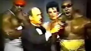 halk hogan !! WCW botchamania