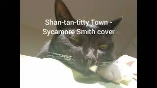 Shan-tan-titty Town - Sycamore Smith cover
