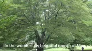 Fritz Wunderlich, Im wundersch&ouml;nen Monat Mai