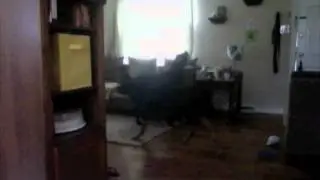 Earthquake in Virginia 2011