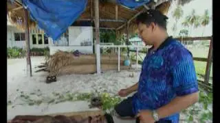 Histoires d'îles - Langkawi
