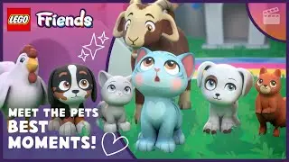 The BEST and Wildest Pet Meet and Match Moments ✨⭐ | LEGO Friends: The Next Chapter