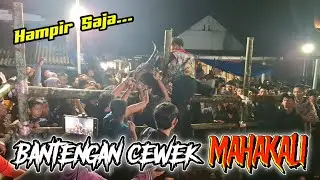 Terbaru.. KALAPAN BANTENG MAHAKALI || Spek cewek kalap bringas || Obrak Abrik brutal