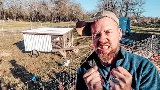 NO LONGER HATE it  🐓 {Premiere 1 Electric Poultry Netting}
