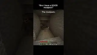 Nice modpack 💀 #minecraft #viralvideo