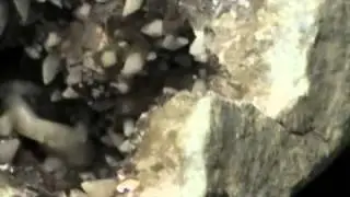 Rare & Beautiful Keokuk Geode Collection