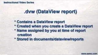 AEMC Instruments DataView File Types