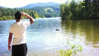 J2DA6 feat Avaire - Love Song 2.0