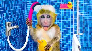 Monkey Banana Bim Bim clean the toilet and take a shower | Donganh Monkey