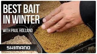 What&rsquo;s the best bait for winter? | Winter Fishing Tips with Paul Holland