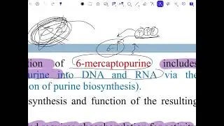 Pharmaceutical chemistry(Purine)شرح عضوية وزاري مرحلة رابعة صيدلة