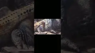top 3 monsters in monster hunter | #shorts #mhw #sunbreak #meme #viral #iceborne #fypシ #fyp