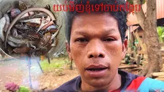 យប់មិញ់ខ្ញុំទៅចាប់ត្រីកង្កែបមិនដឹងថាស្វតអីខាំខ្ញុំហើមមុខអស់ November 28, 2025
