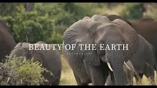 Kruger National Park - Satara Rest Camp