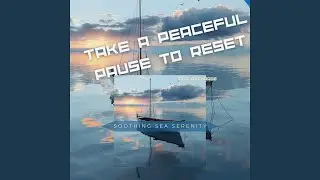Music for Wellness