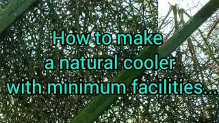 How to make a natural cooler with minimum facilities...