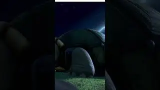 Flying Turtle?! 🐢✈️ | Unreal Animal Moment #Shorts