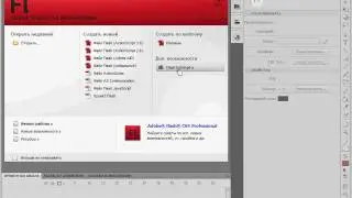 Первый запуск программы Adobe Flash CS4 (1/41)