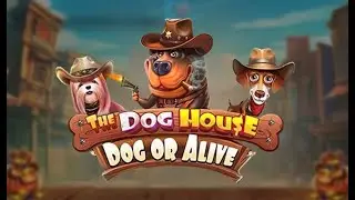 🎰 Demo Slot Spotlight: The Dog House Dog or Alive by Pragmatic Play 🌟🎰