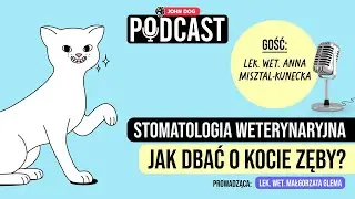 PODCAST - Stomatologia weterynaryjna: jak dbać o kocie zęby? | gość: lek. wet. Anna Misztal-Kunecka