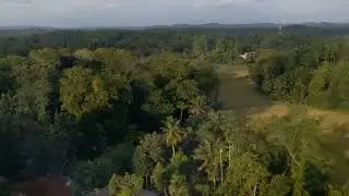 Video quality of dji tello drone and beautiful nature 🌴🌾
