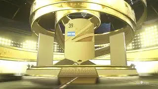 OMG CRAZY TEAM OF THE SEASON PACK PULL