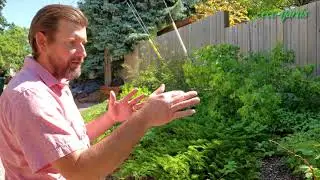 Ryan Yard Tour