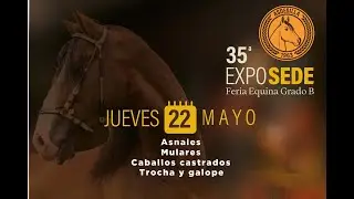 35º EXPOSEDE 2025 GRADO B DIA 1 TROCHA Y GALOPE