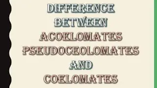 Difference between Acoelomates, pseudocoelomates and ceolomates.Zoology/Biology, F.sc/B.sc