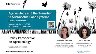 Policy Perspective 2024: Agroecology and the Transition to Sustainable Food Systems