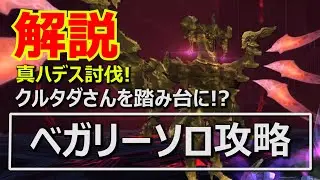 【FF11】ベガリーインスペクター真ハデスソロ討伐【攻略実況】