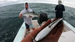 This Lure Works! - Mackerel Fishing