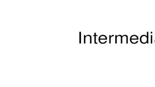 How to pronounce Intermediator