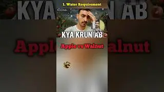 Water Requirement💦 Comparison Apples Vs Walnut | GrowerShala