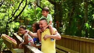 Visit Jungle Island | #1 Miami Eco-Adventure Theme Park