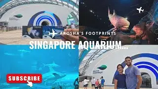 Singapore SEA Aquarium Vlog 🇸🇬 | සිංගප්පූරුවේ aquarium එක බලන්න යමු...❤️
