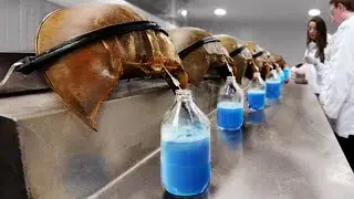 10 Most Expensive Liquids In The World