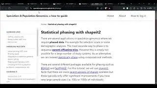 Phasing in Shape it 2
