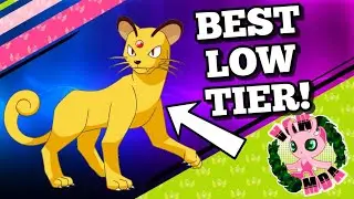 Persian is THE BEST Low Tier!! MDA W3 (Pokemon Scarlet & Violet Teal Mask VGC Draft League)