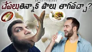 CAN YOU DRINK MILK AFTER EATING FISH?|TOP 10 AMAZING & INTERESTING FACTS IN TELUGU|