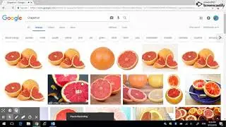 Image breakout on Google