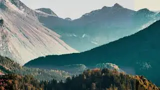 WALD - Gevir