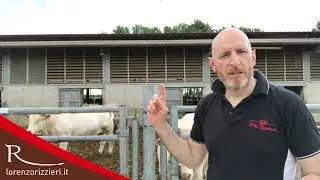 lorenzorizzieri.it - Allevamento e benessere animale in pratica - prima parte