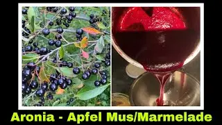 Aroniamarmelade Rezept | Aronia - Apfelmus | Aroniamus | Selbstversorgung: unreife &Auml;pfel