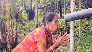 Best funny video2026|new comedy |nonstop funny |Fun media|Joy|#funny #comedy #fun 
