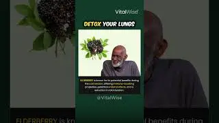 Optimize Your Respiratory Health with VitalWise: Natural Lung Detoxification and Respiratory Support