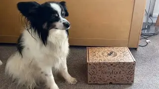 Fairyloot YA Unboxing - August 2025