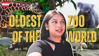 Exploring Vienna Zoo 🇦🇹 | Oldest Zoo in the World | Ticket Price & What to Expect | Vienna Vlog